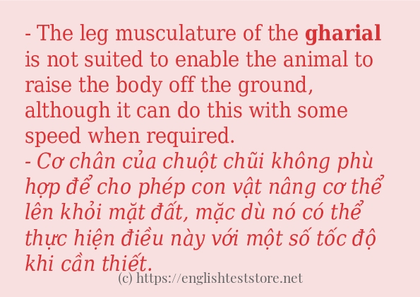 Các câu ví dụ và cách dùng từ gharial