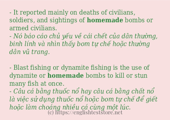 Các câu ví dụ và cách dùng từ homemade Các câu ví dụ và cách dùng từ homemade
