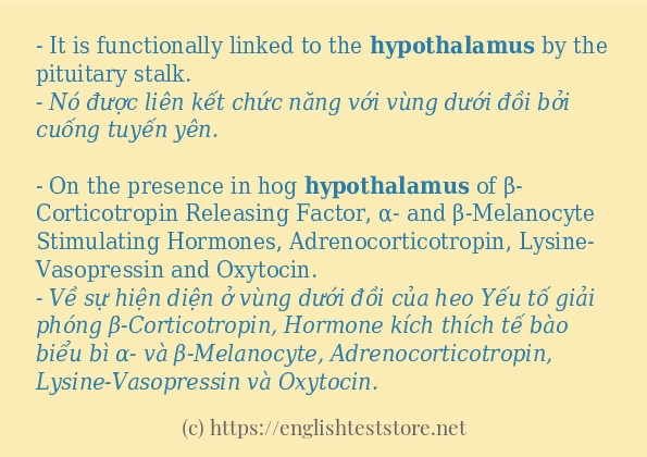 Các câu ví dụ và cách dùng từ hypothalamus