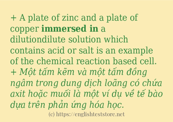 Các câu ví dụ và cách dùng từ immersed in