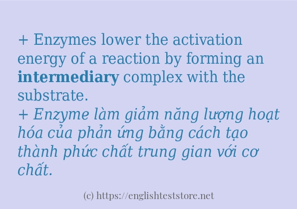 Các câu ví dụ và cách dùng từ intermediary Các câu ví dụ và cách dùng từ intermediary