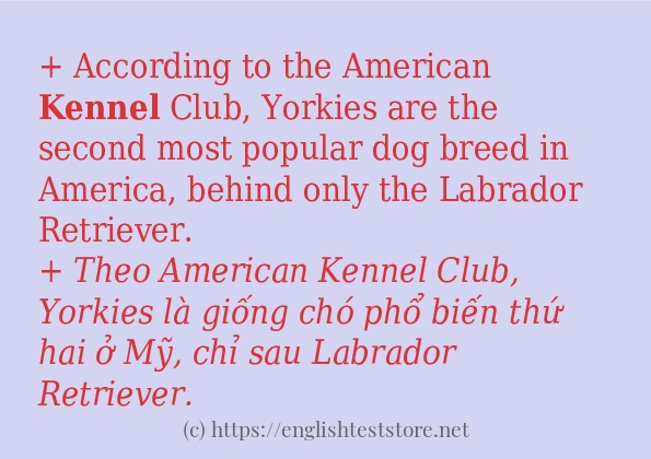 Các câu ví dụ và cách dùng từ kennel