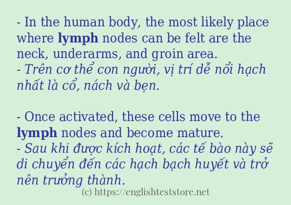 Các câu ví dụ và cách dùng từ lymph