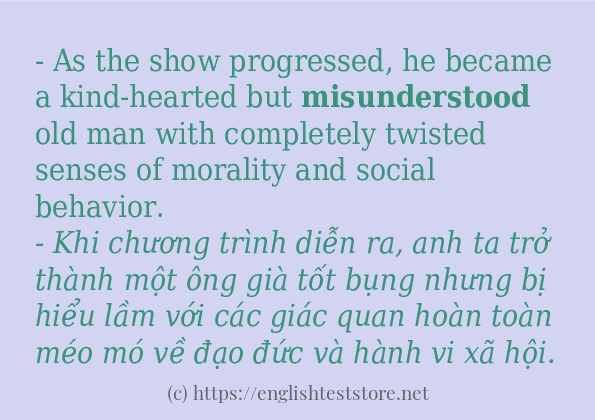 Các câu ví dụ và cách dùng từ misunderstood