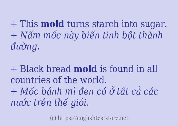 Các câu ví dụ và cách dùng từ mold