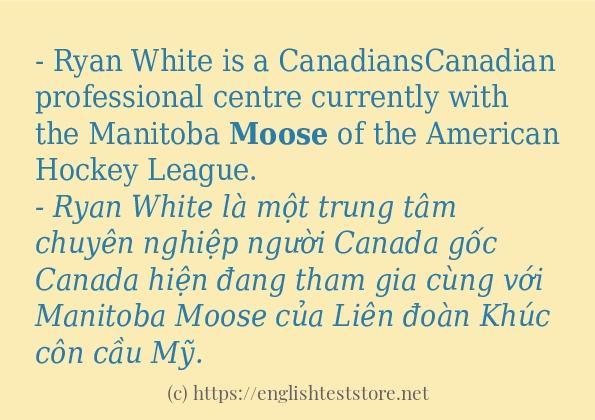 Các câu ví dụ và cách dùng từ moose