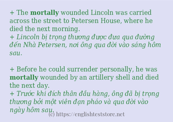 Các câu ví dụ và cách dùng từ mortally