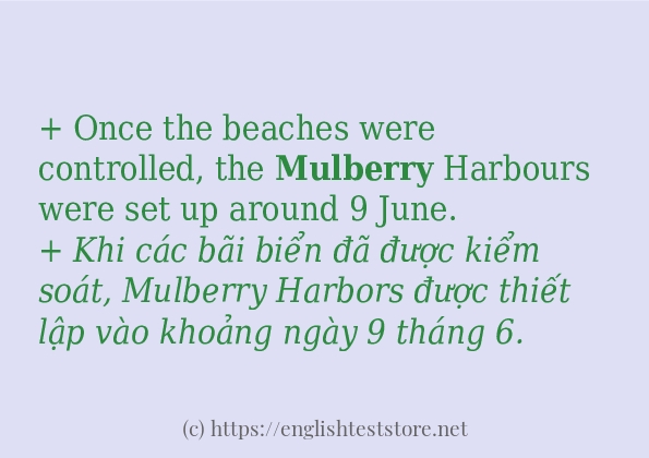 Các câu ví dụ và cách dùng từ mulberry