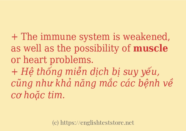 Các câu ví dụ và cách dùng từ muscle