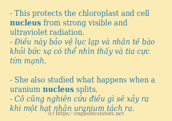 Các câu ví dụ và cách dùng từ nucleus Các câu ví dụ và cách dùng từ nucleus