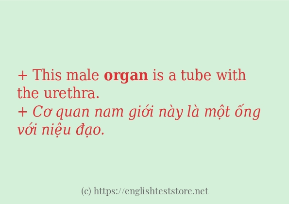 Các câu ví dụ và cách dùng từ organ Các câu ví dụ và cách dùng từ organ