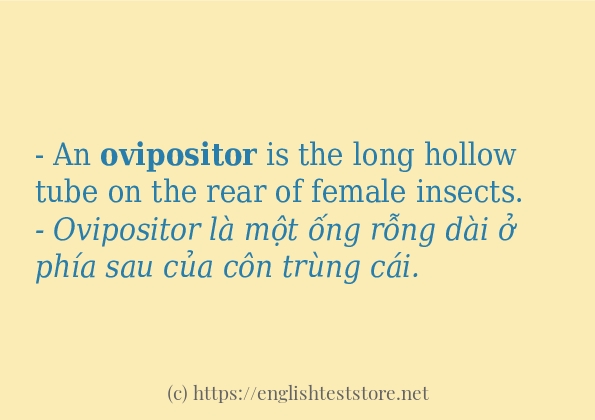 Các câu ví dụ và cách dùng từ ovipositor Các câu ví dụ và cách dùng từ ovipositor