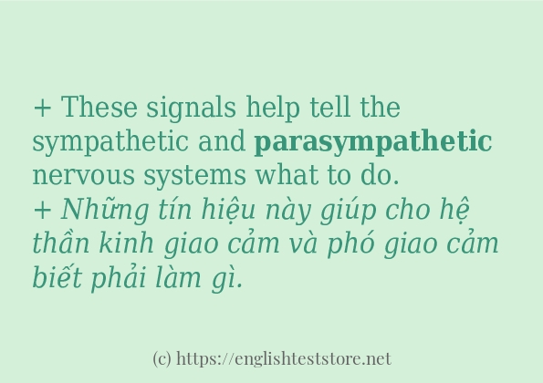Các câu ví dụ và cách dùng từ parasympathetic Các câu ví dụ và cách dùng từ parasympathetic