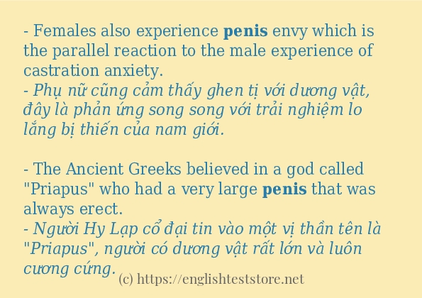 Các câu ví dụ và cách dùng từ penis