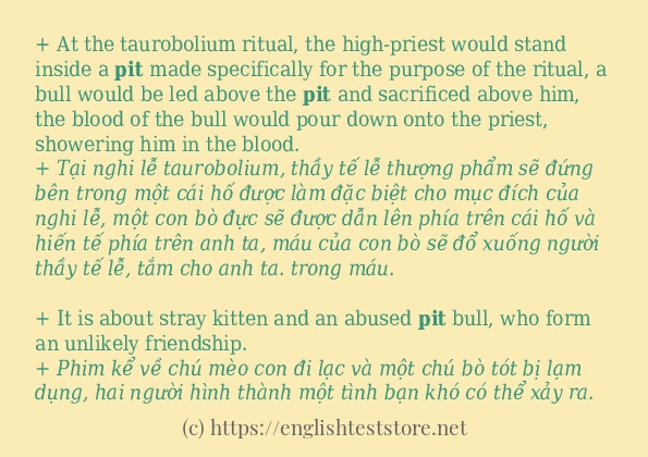 Các câu ví dụ và cách dùng từ pit Các câu ví dụ và cách dùng từ pit