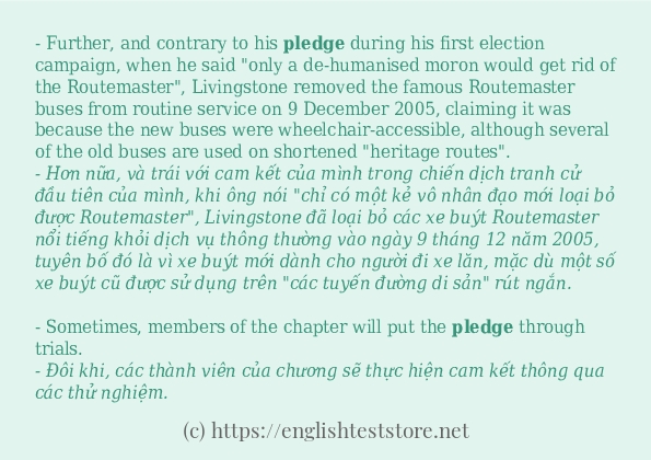 Các câu ví dụ và cách dùng từ pledge
