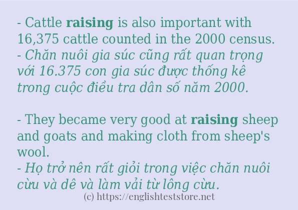 Các câu ví dụ và cách dùng từ raising