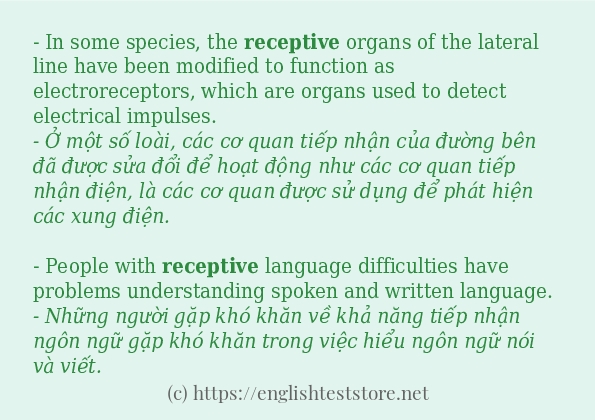 Các câu ví dụ và cách dùng từ receptive