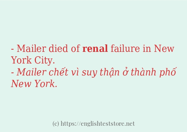 Các câu ví dụ và cách dùng từ renal Các câu ví dụ và cách dùng từ renal