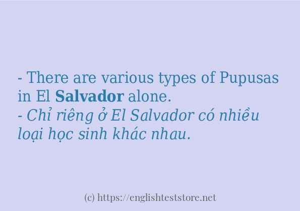 Các câu ví dụ và cách dùng từ salvador Các câu ví dụ và cách dùng từ salvador