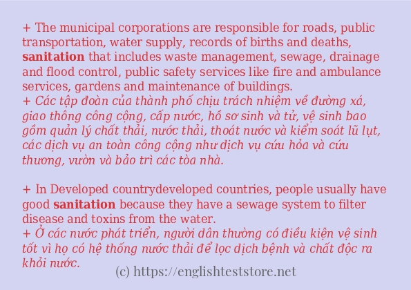 Các câu ví dụ và cách dùng từ sanitation