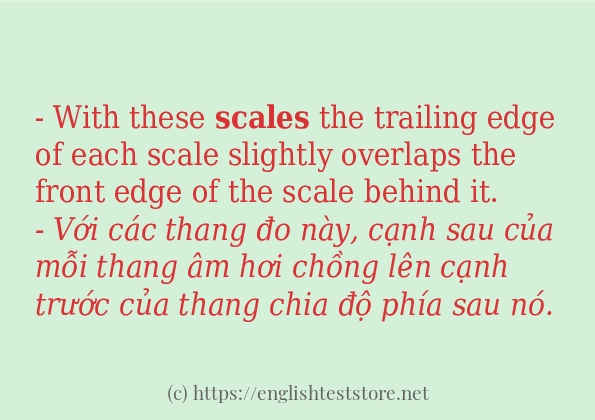 Các câu ví dụ và cách dùng từ scales