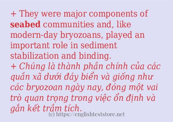 Các câu ví dụ và cách dùng từ seabed