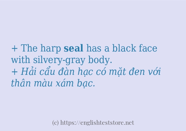 Các câu ví dụ và cách dùng từ seal
