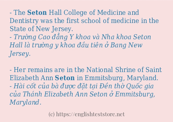 Các câu ví dụ và cách dùng từ seton