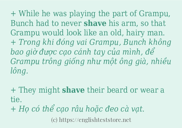 Các câu ví dụ và cách dùng từ shave