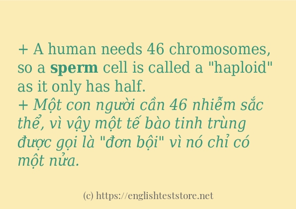 Các câu ví dụ và cách dùng từ sperm