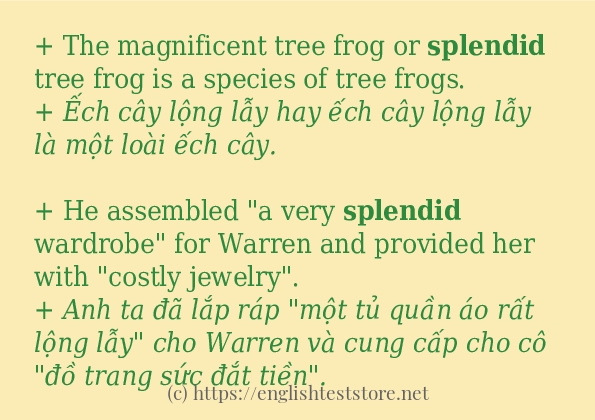 Các câu ví dụ và cách dùng từ splendid