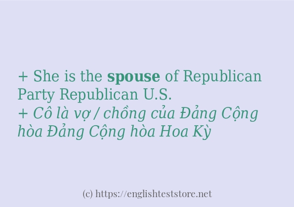 Các câu ví dụ và cách dùng từ spouse