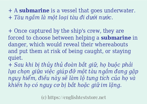 Các câu ví dụ và cách dùng từ submarine