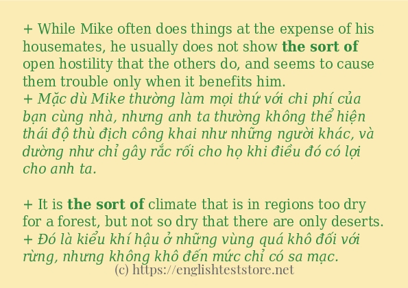 Các câu ví dụ và cách dùng từ the sort of