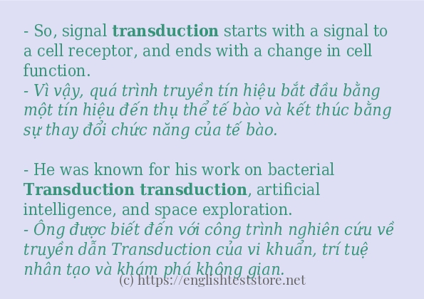 Các câu ví dụ và cách dùng từ transduction