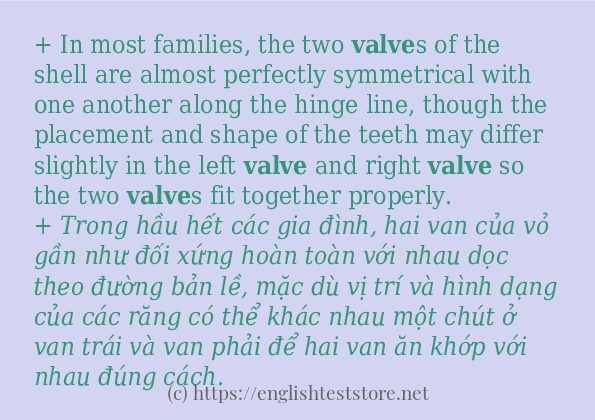 Các câu ví dụ và cách dùng từ valve