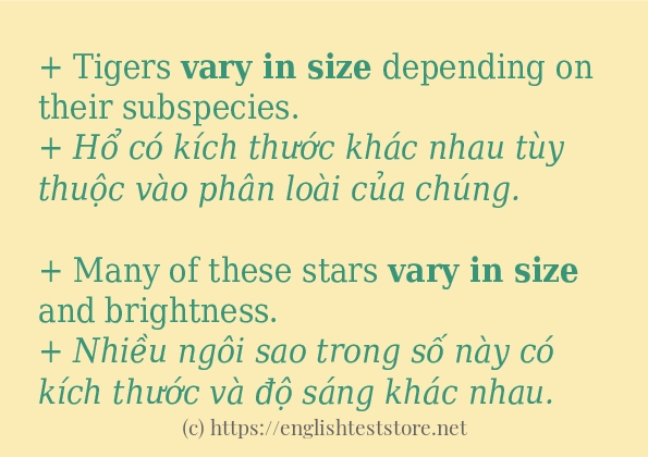 Các câu ví dụ và cách dùng từ vary in size