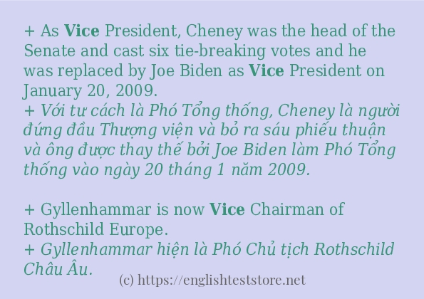 Các câu ví dụ và cách dùng từ vice