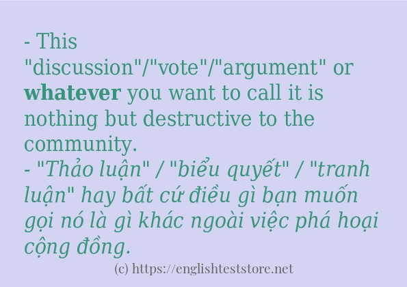 Các câu ví dụ và cách dùng từ whatever