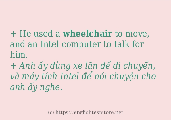 Các câu ví dụ và cách dùng từ wheelchair