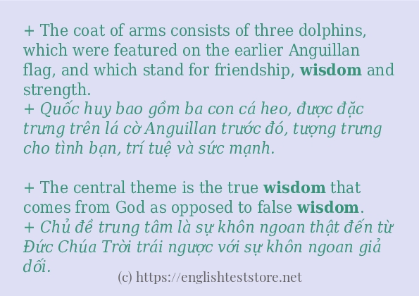 Các câu ví dụ và cách dùng từ wisdom