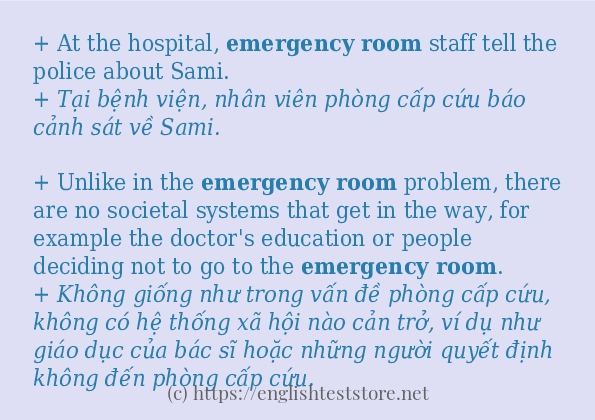 Các câu ví dụ và cách sử dụng từ Emergency room