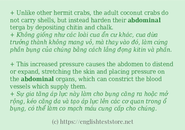 Các câu ví dụ và cách sử dụng từ abdominal