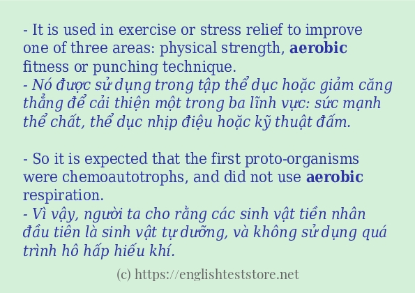 Các câu ví dụ và cách sử dụng từ aerobic