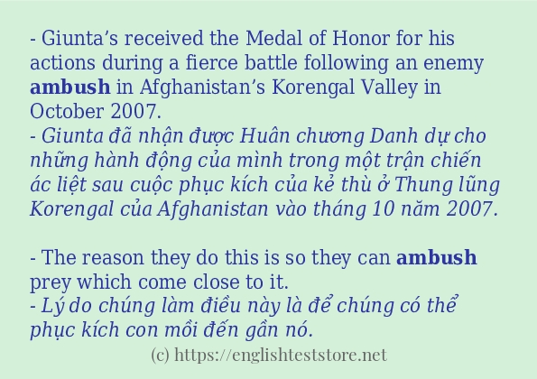 Các câu ví dụ và cách sử dụng từ ambush