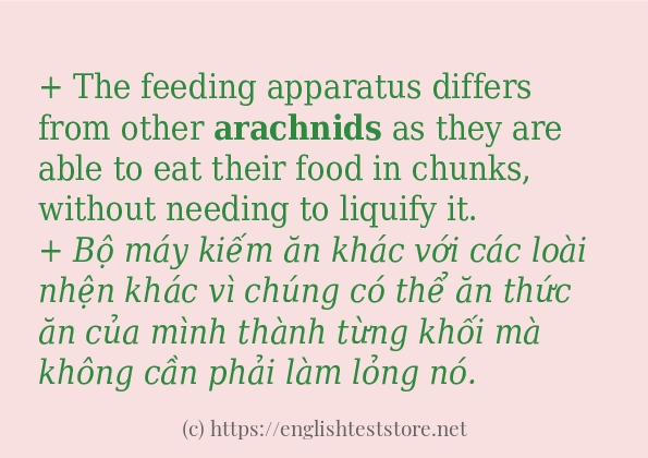 Các câu ví dụ và cách sử dụng từ arachnids
