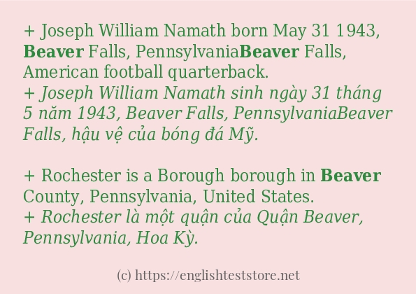 Các câu ví dụ và cách sử dụng từ beaver