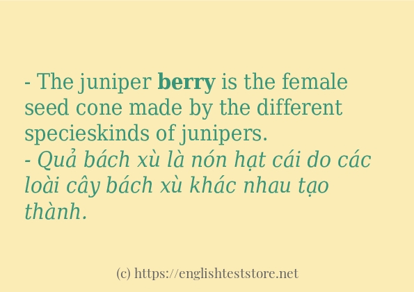 Các câu ví dụ và cách sử dụng từ berry