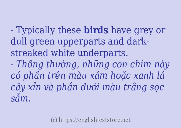 Các câu ví dụ và cách sử dụng từ birds Các câu ví dụ và cách sử dụng từ birds